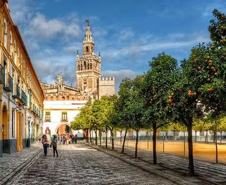 Apartment Estudio En Pleno Centro De By Msholidays Seville